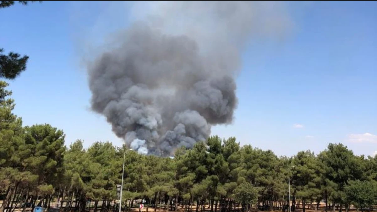 Gaziantep Burç Ormanında YANGIN Korkuttu 27