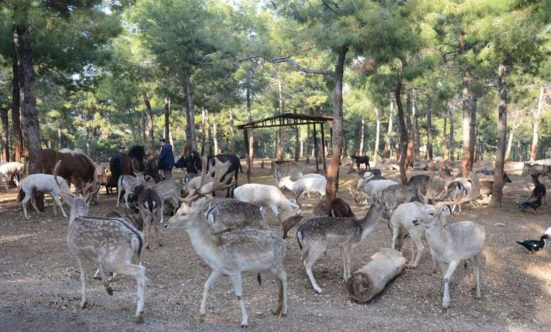 Gaziantep Doğal Yaşam Parkına 4 Milyon Ziyaret