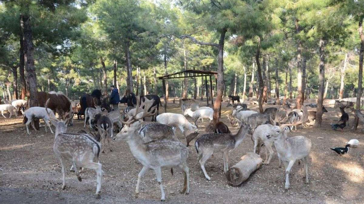 Gaziantep Doğal Yaşam Parkına 4 Milyon Ziyaret