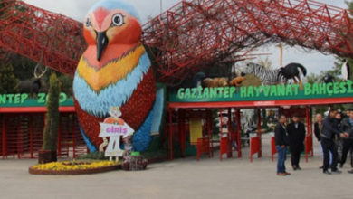 Gaziantep Hayvanat Bahçesi Kışa Hazırlanıyor