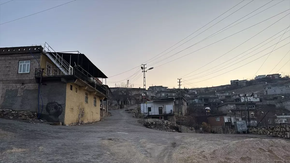 Adıyaman'da Kuduz Tehdidi: Toklu Köyü Karantinaya Alındı