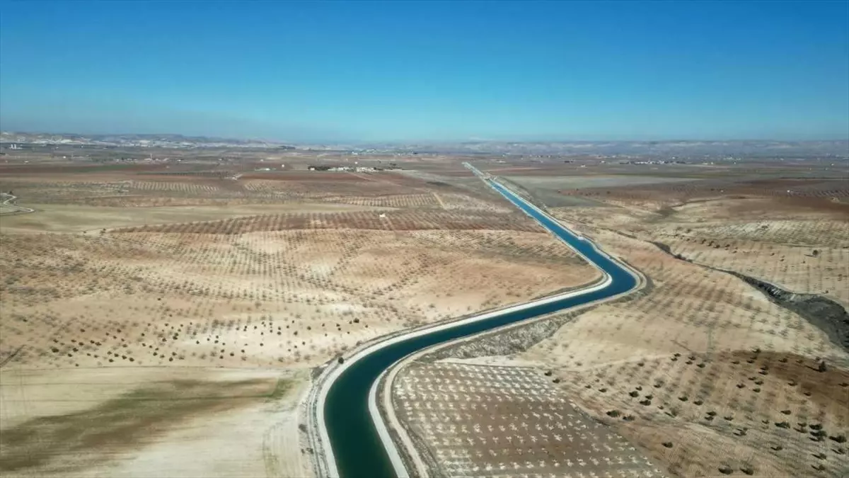 Cansuyum Projesi Nizip'te Hayata Geçti