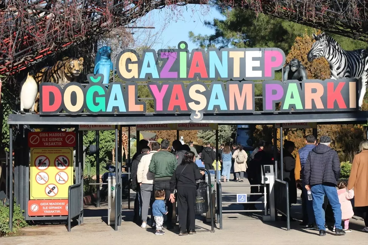 Gaziantep Hayvanat Bahçesi Yılbaşı'nda Ziyaretçi Akınına Uğradı