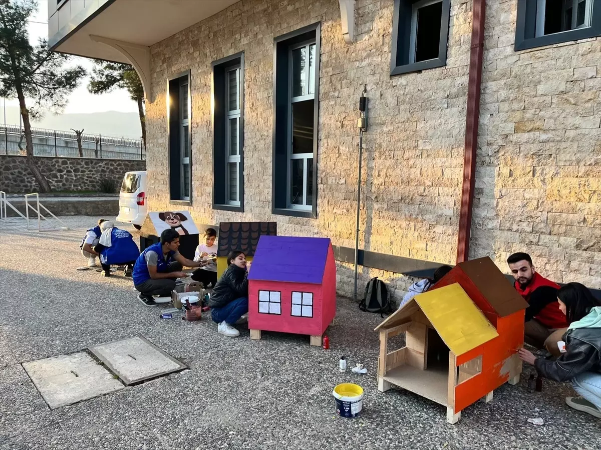 İslahiye'de Meslek Lisesi Öğrencilerinden Sokak Hayvanlarına Destek Projesi