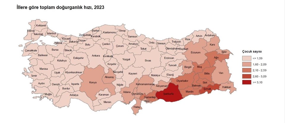 TÜİK Verilerine Göre Türkiye'de Nüfus Yenileme Sadece 10 İlde Mümkün