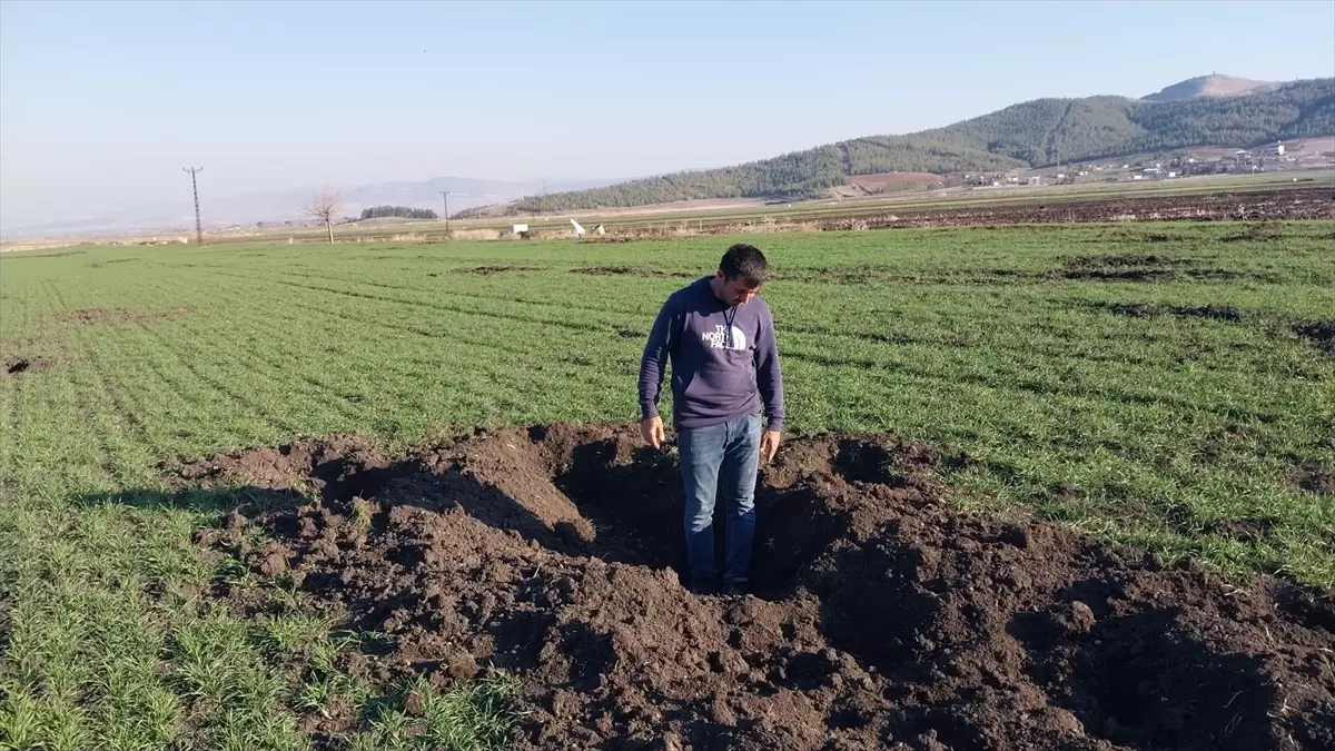 Çiftçiler Yaban Domuzlarına Karşı Tarlalarında Nöbet Tutuyor