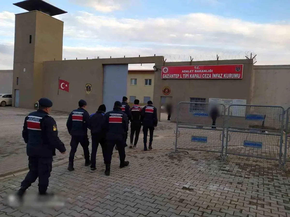 Gaziantep'te 59 Dolandırıcı Operasyonda Yakalandı