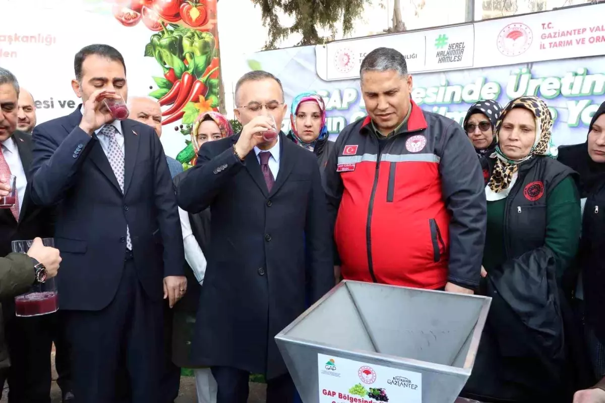 Gaziantep'te Bağcılığa Destek Projesi: 185 Çiftçiye Tarım Aletleri Dağıtıldı