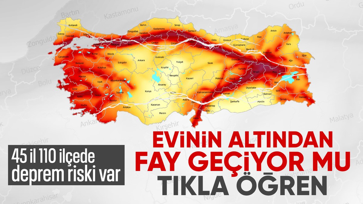 Türkiye'de Deprem Riski Taşıyan Bölgeler ve Fay Hatları