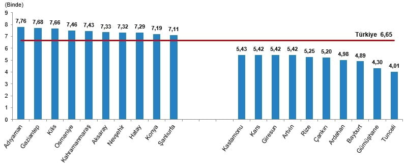 Türkiye'de Evlilik ve Boşanma İstatistikleri: 2024 Verileri