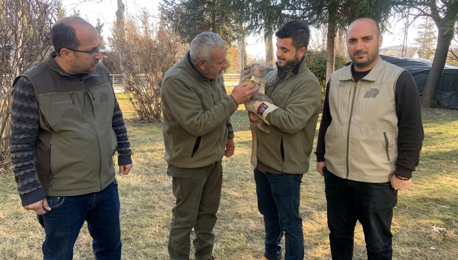 Yolda Bulunan Maymun Gaziantep Hayvanat Bahçesi'ne Gönderildi