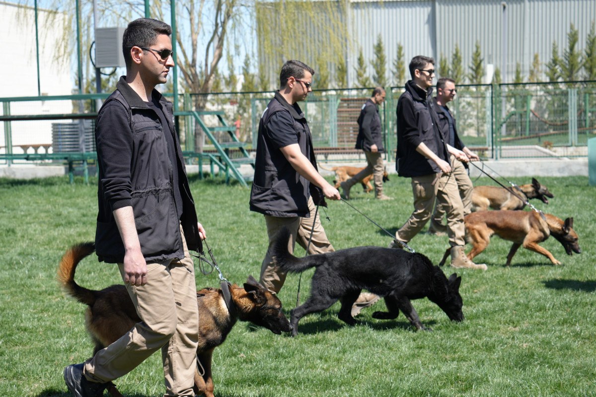 Ankara'da sınırların gizli kahramanı hassas burun köpekler böyle eğitiliyor