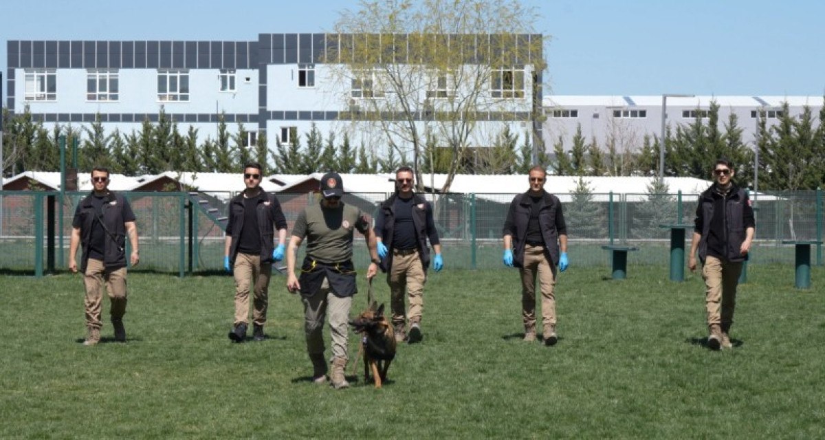 Ankara'da sınırların gizli kahramanı hassas burun köpekler böyle eğitiliyor
