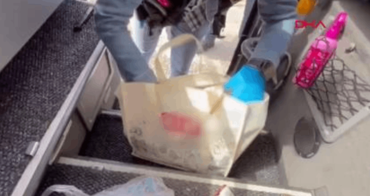 Otobüste Bonzai Yakalandı: Yolcu Tutuklandı