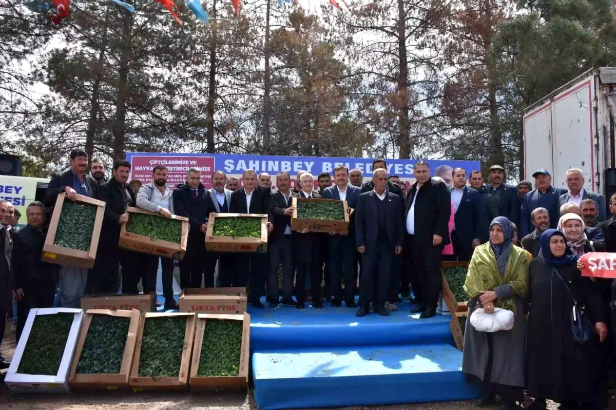 Şahinbey Belediyesi'nden Çiftçilere 7 Milyon Fide Desteği
