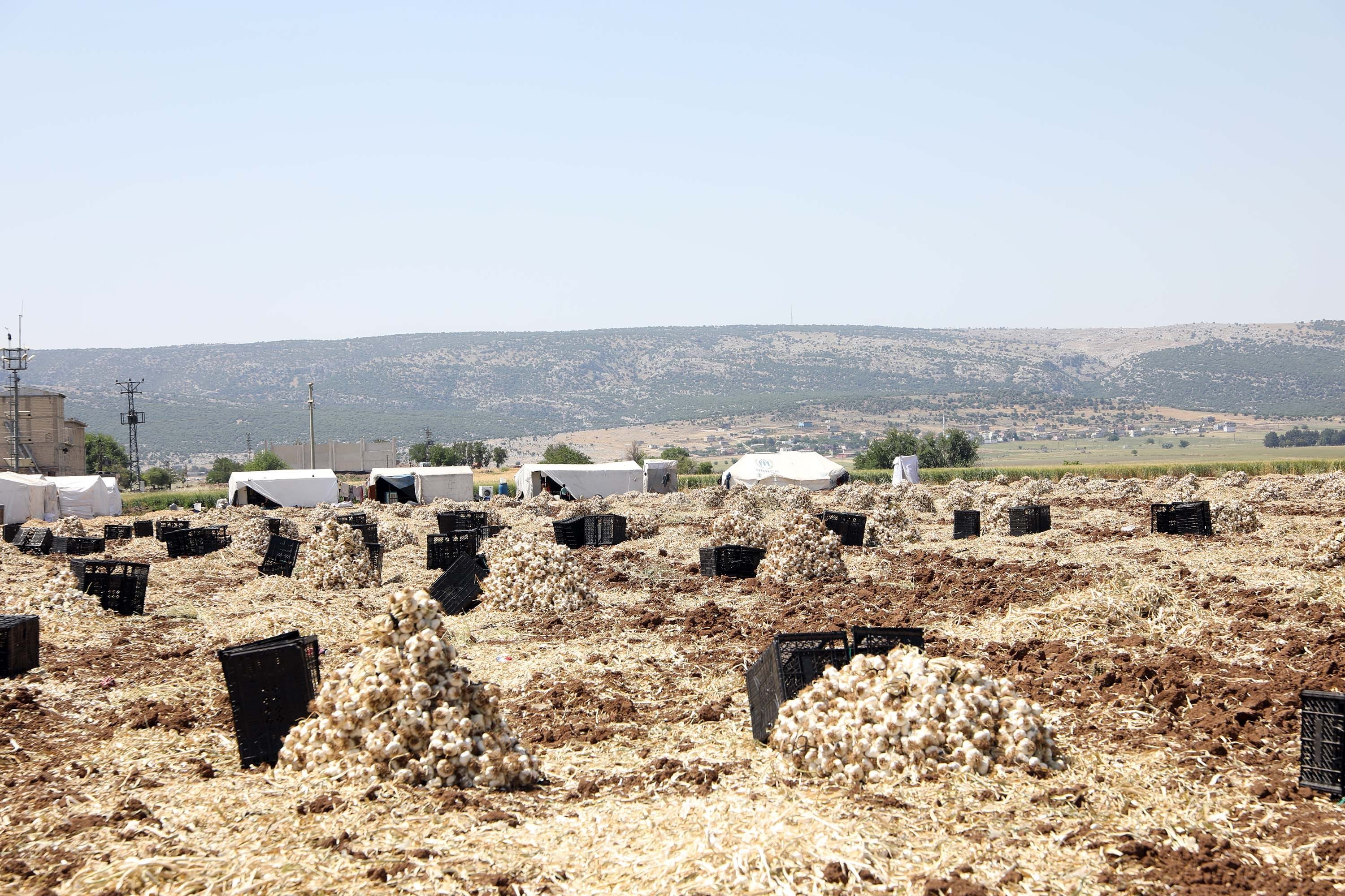 ‘YOĞUN İLGİ GÖRÜYOR’