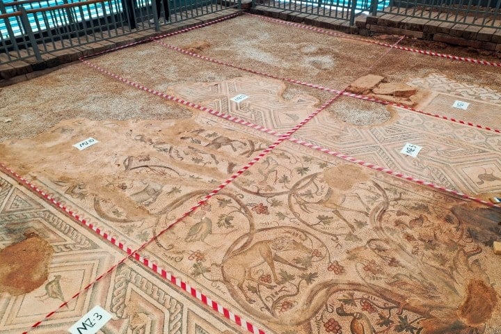 1500 yıllık tek parça mozaik gün yüzüne çıkıyor