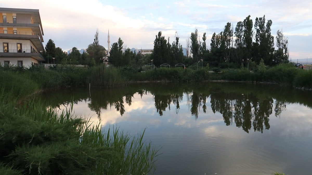Çin'den Türkiye'ye göç etmişti... Bilim insanları incelemek için Diyarbakır'a gitti