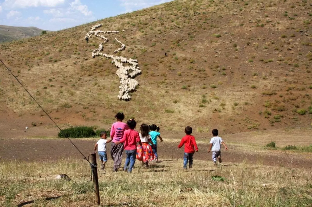 Erzincan Tulum Peyniri AB Tescili Aldı