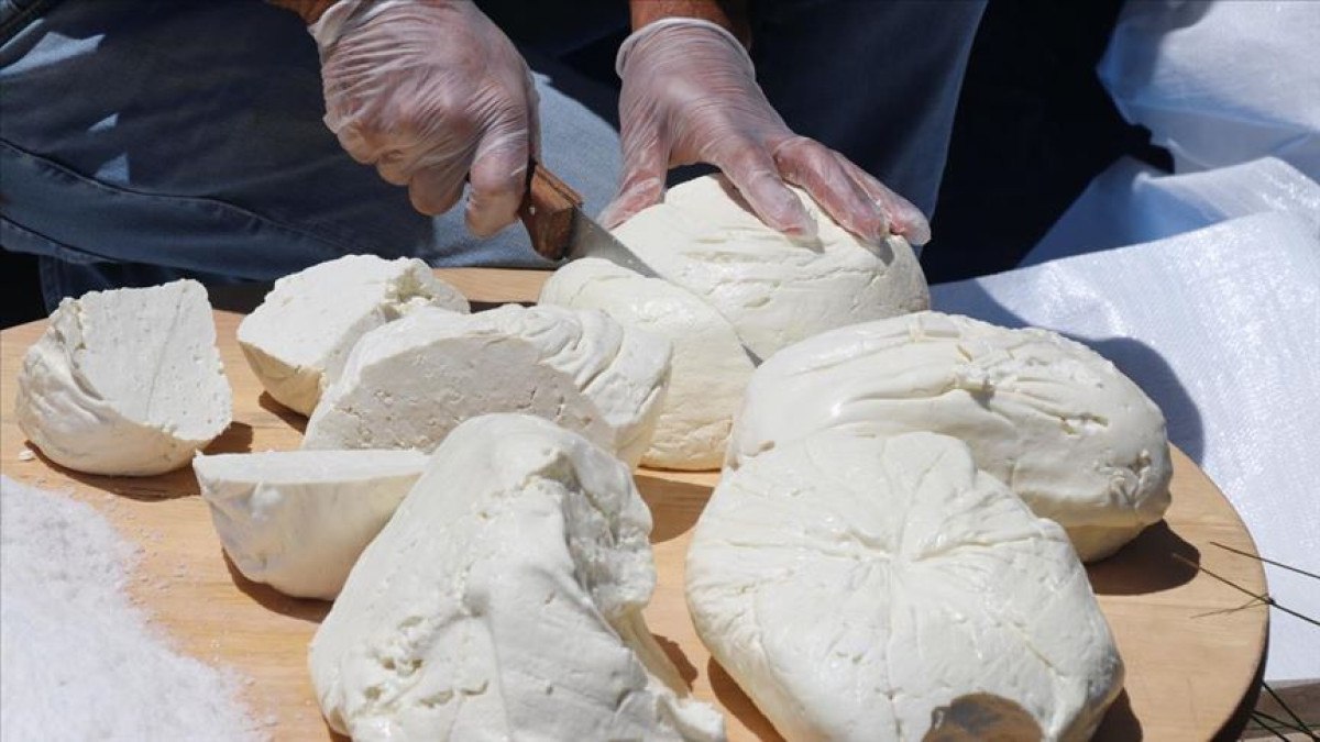 AB’de Koruma Altında