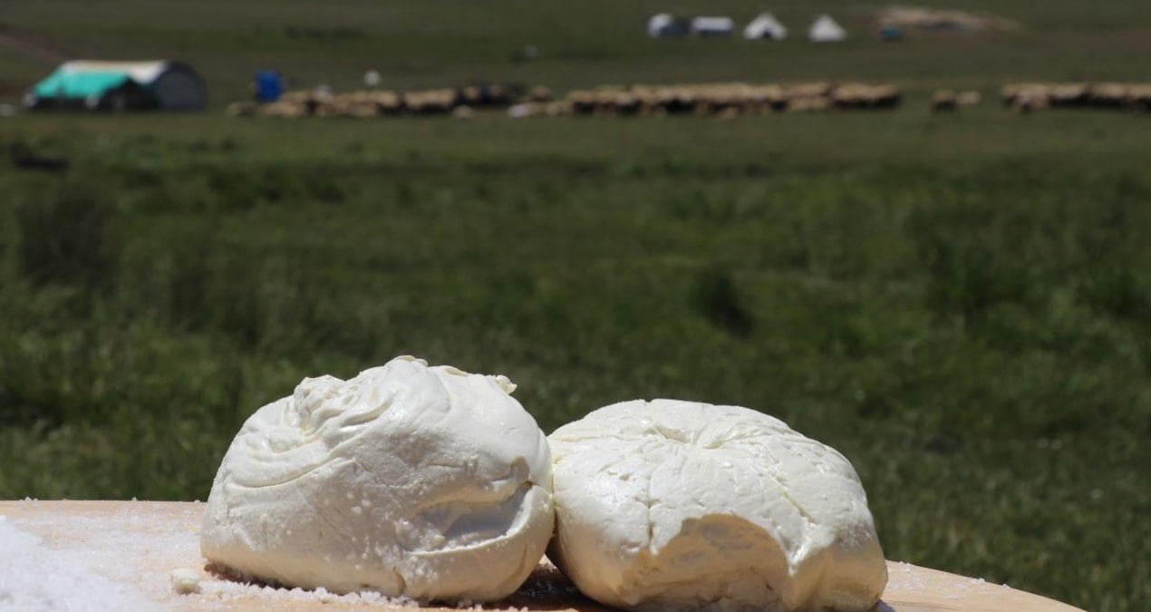 Erzincan Tulum Peyniri’ne AB'den coğrafi işaret tescili!