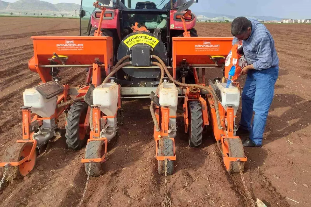 Gaziantep'te 2025 Pamuk Ekimine Başlandı