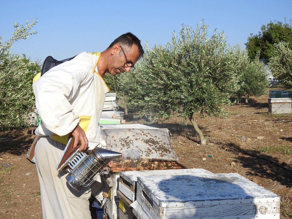 YILLIK 2 TON BAL ALIYORUM