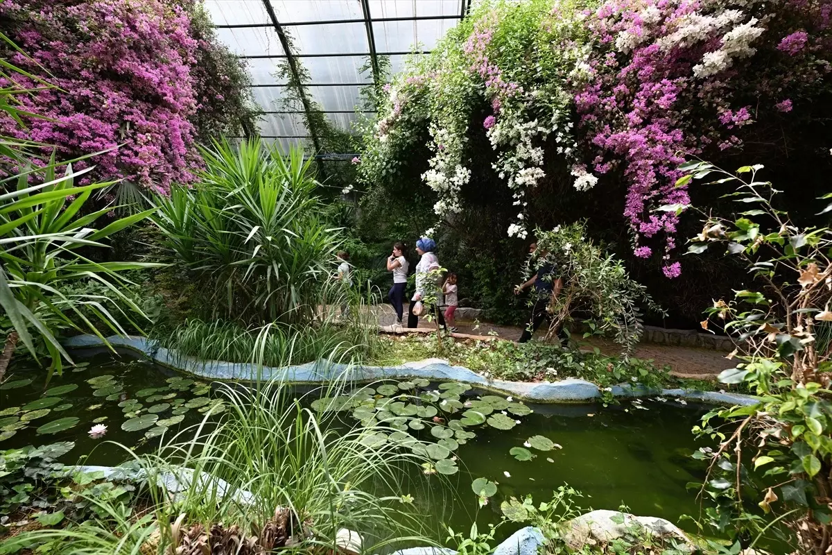 Gaziantep'te Tropik Kelebek Bahçesi Açıldı