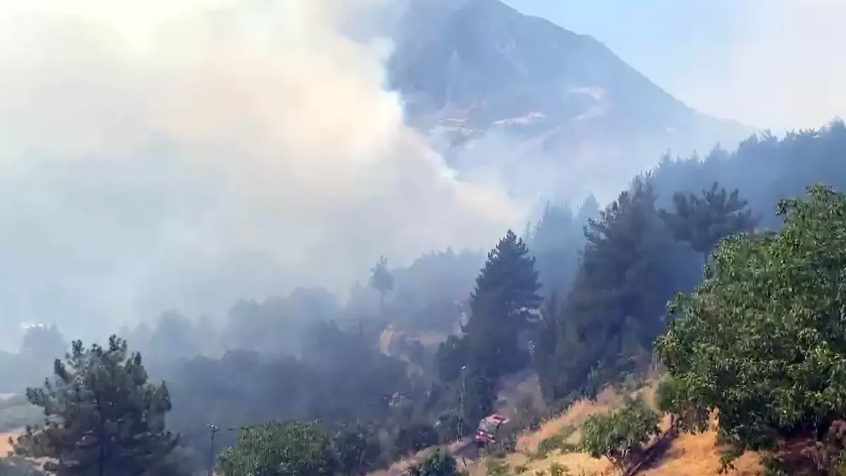 Orman Yangınına Neden Olan Genç Hakkında Dava