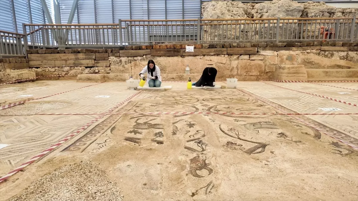 Perre Antik Kenti'nde Mozaik Bakımı