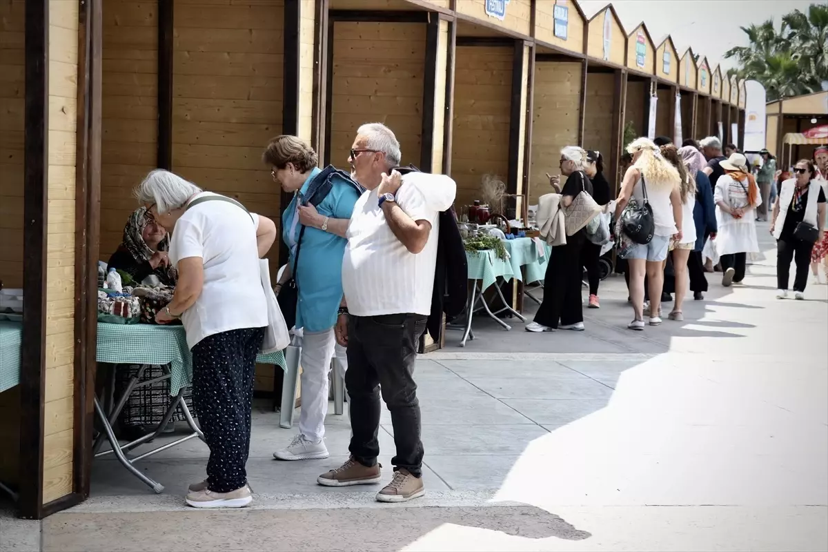Samsun'da Yöresel Ot Yemekleri Festivali