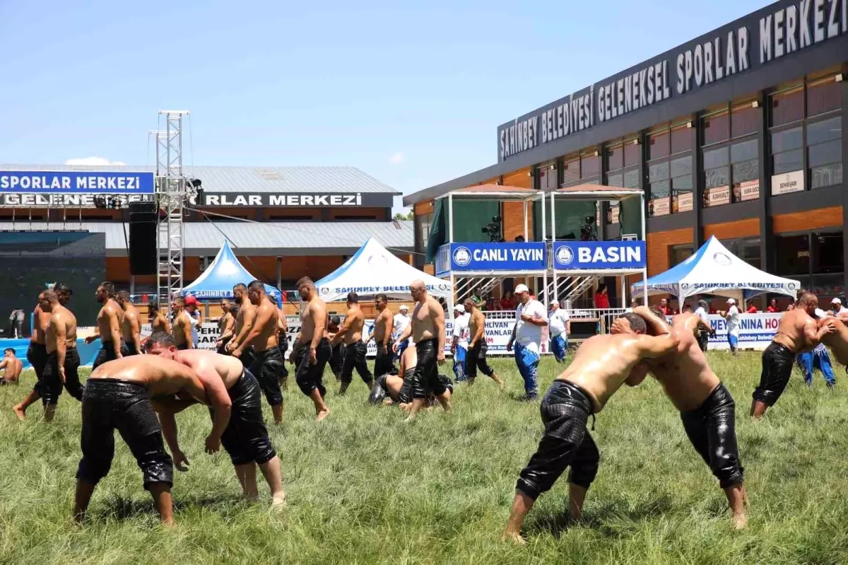 Türkiye Yağlı Güreş Ligi Şahinbey'de Başladı