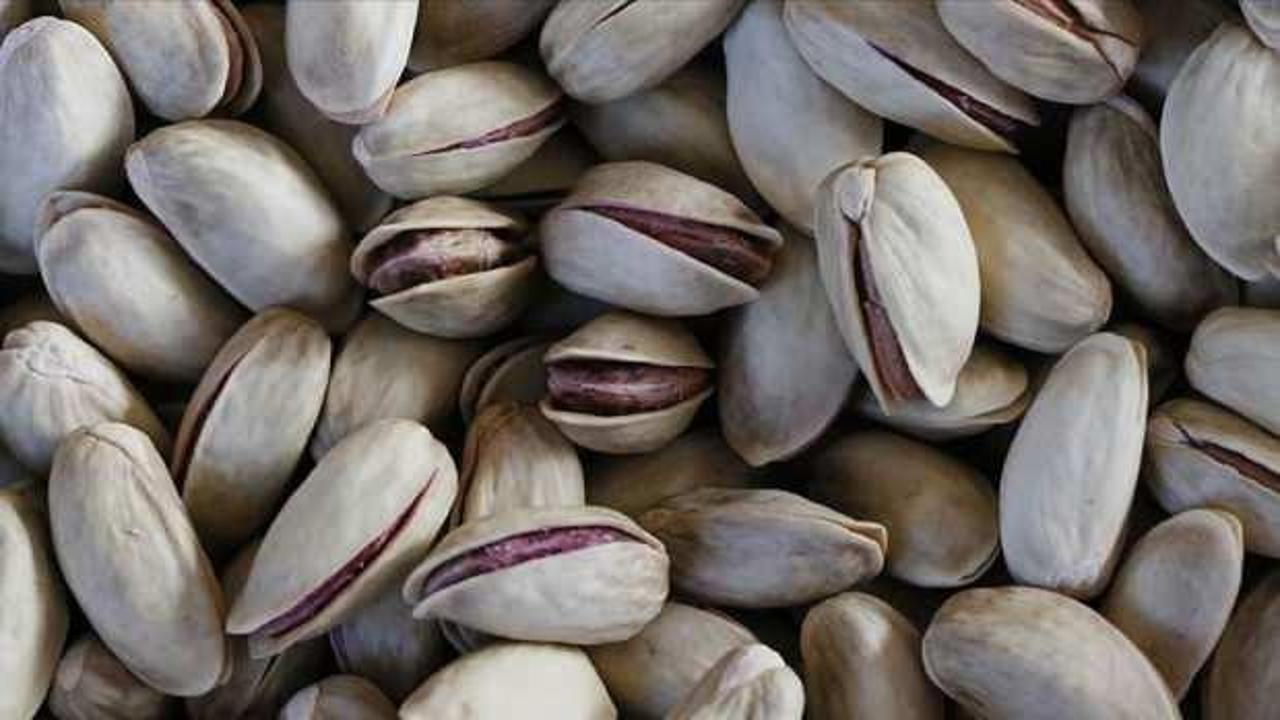 Türkiye'nin 81 ürünü AB'den coğrafi işaret tescili bekliyor