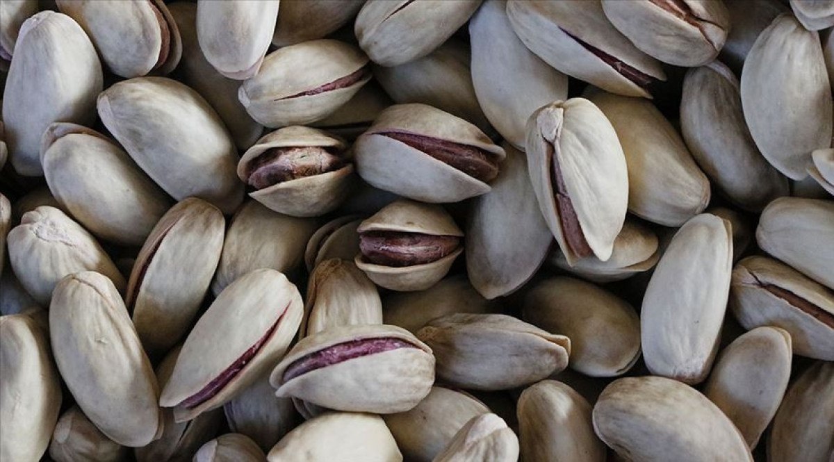 Türkiye'nin AB Coğrafi İşaret Sürücüleri