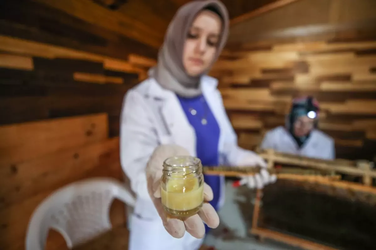 4 arkadaş eşleriyle ürettikleri arı sütünü kilosu 45 bin liradan satıyor