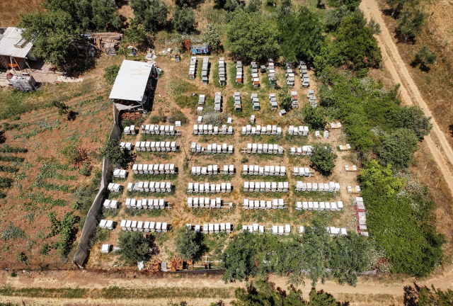 4 arkadaş eşleriyle ürettikleri arı sütünü kilosu 45 bin liradan satıyor