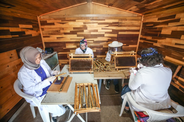 4 arkadaş eşleriyle ürettikleri arı sütünü kilosu 45 bin liradan satıyor