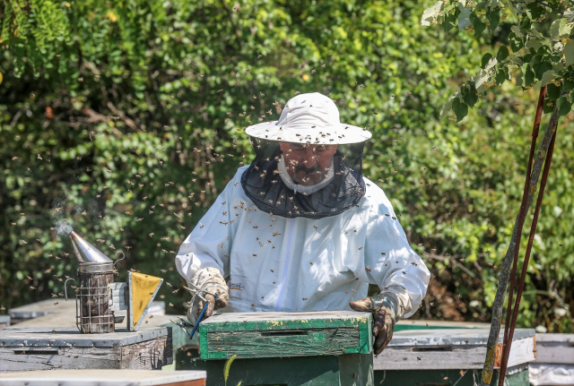 4 arkadaş eşleriyle ürettikleri arı sütünü kilosu 45 bin liradan satıyor