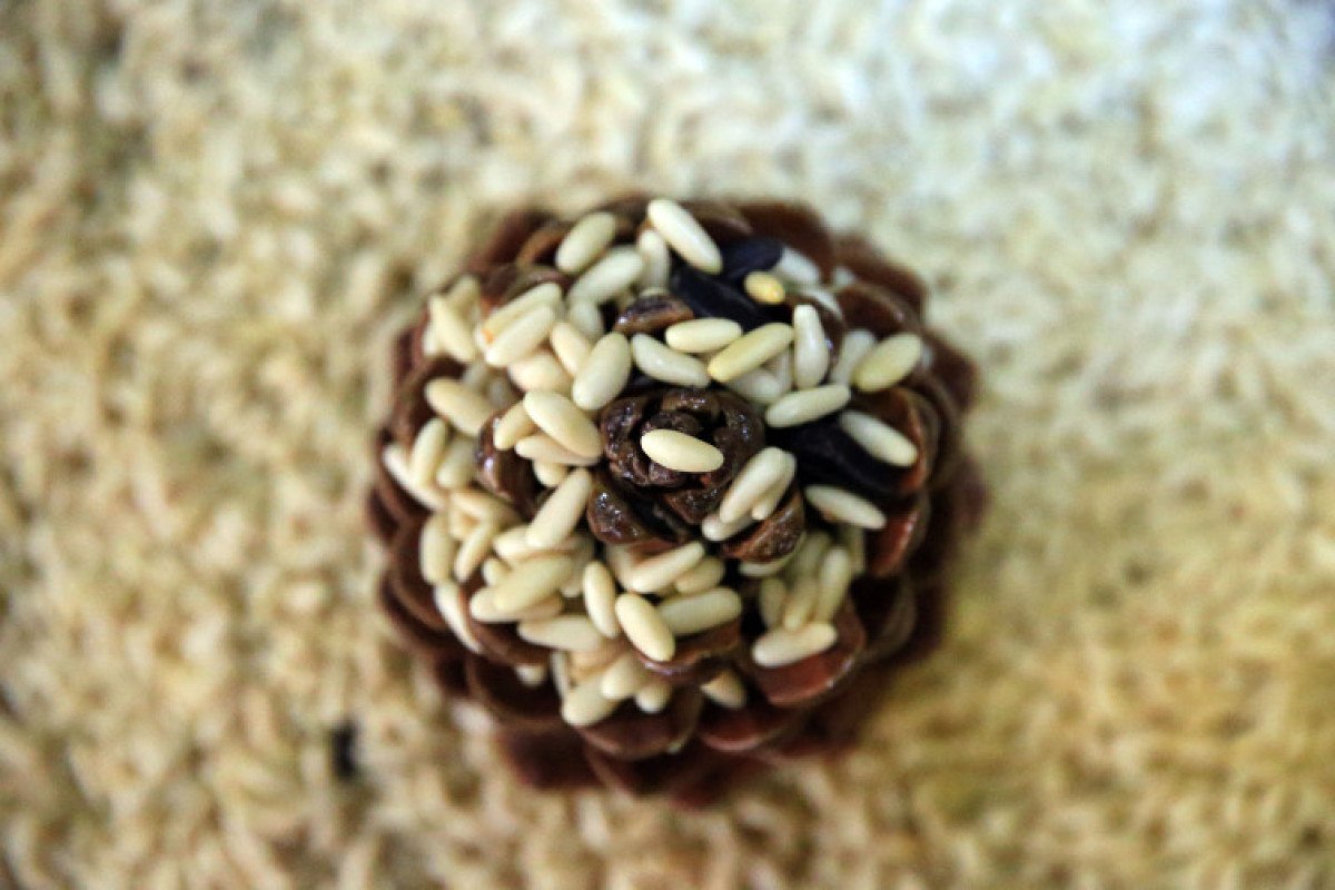 Aydın çam fıstığına AB’den coğrafi işaret tescili