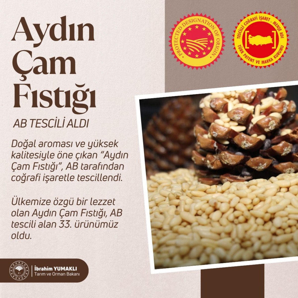 Tescil Alan Diğer Ürünler