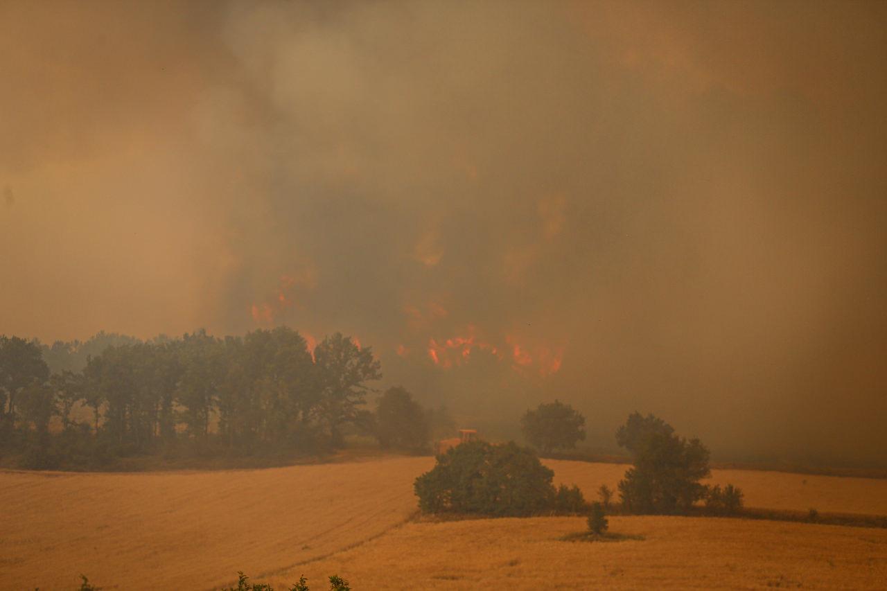 Bakan Yumaklı: 2 günde 150 orman yangını çıktı! 16 yerleşim yeri tahliye edildi