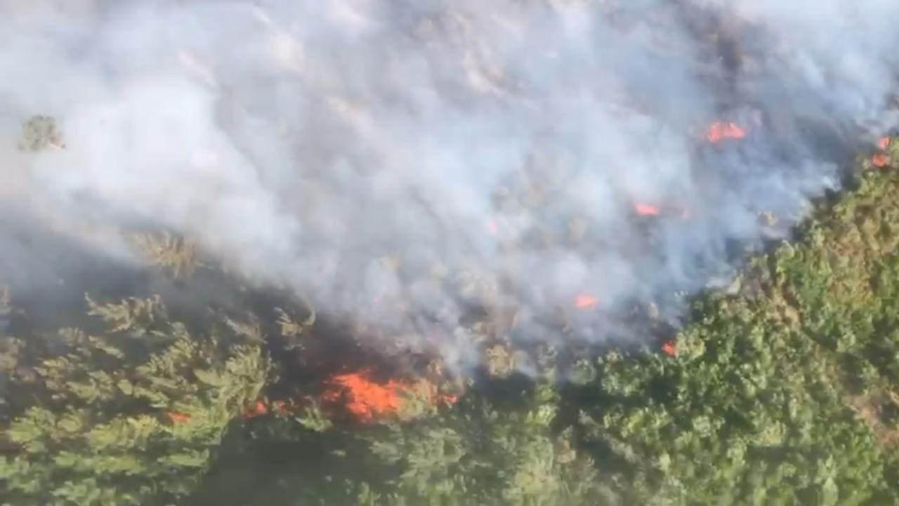 Bakan Yumaklı: 2 günde 150 orman yangını çıktı! 16 yerleşim yeri tahliye edildi