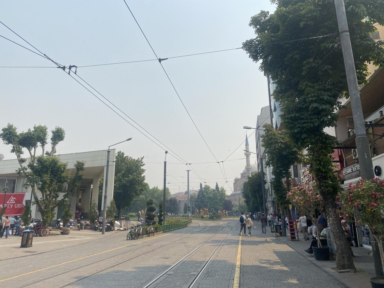 Bakan Yumaklı: 2 günde 150 orman yangını çıktı! 16 yerleşim yeri tahliye edildi