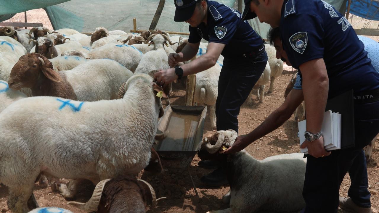 Gaziantep Büyükşehir Belediyesi Kurban Denetimi ve Temizlik Seferberliği