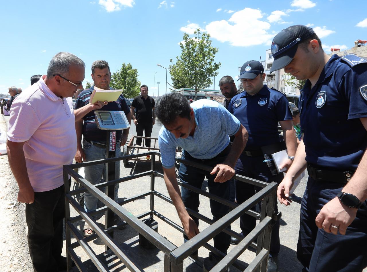 Haşere ve Sineklerle Mücadele