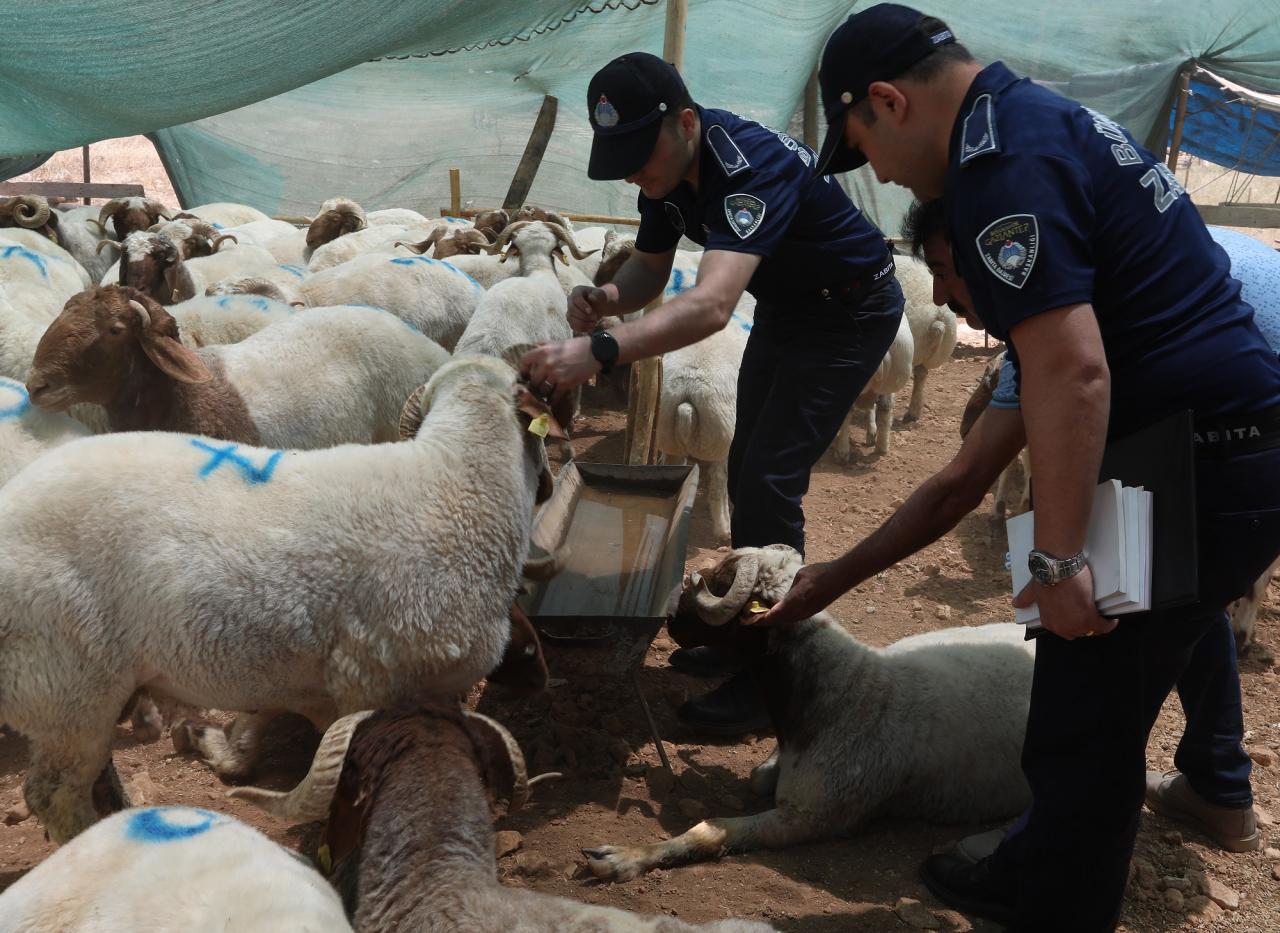 Zabıta Başkanı Yalım’dan Açıklama