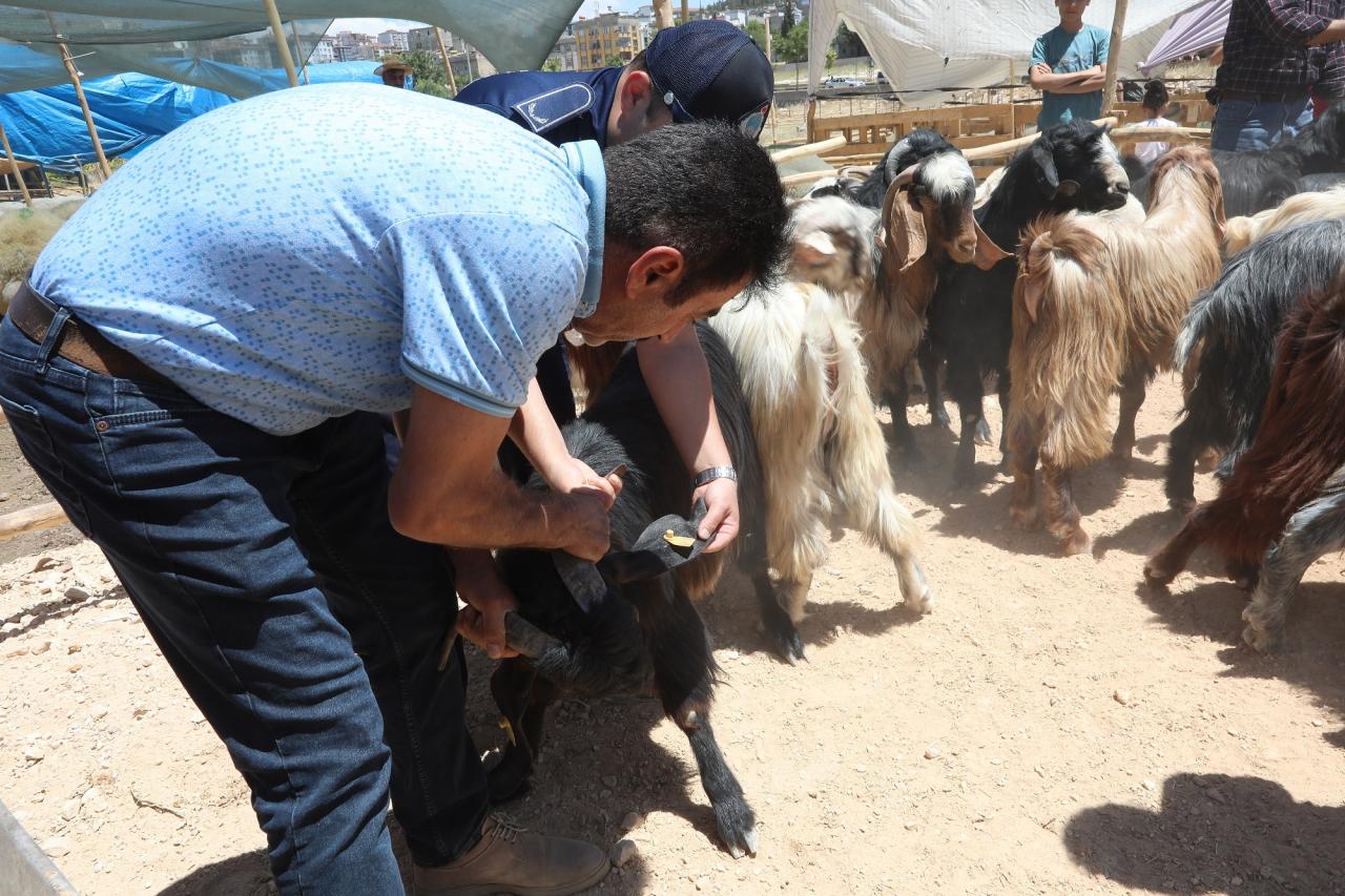 Zabıta Başkanı Yalım’dan Açıklama