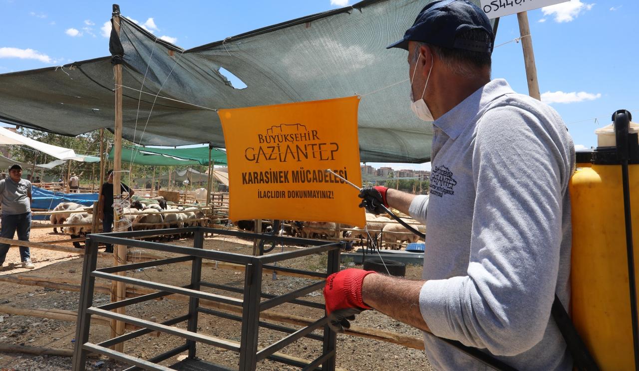 Gaziantep Büyükşehir Belediyesi Kurban Denetimi ve Temizlik Seferberliği