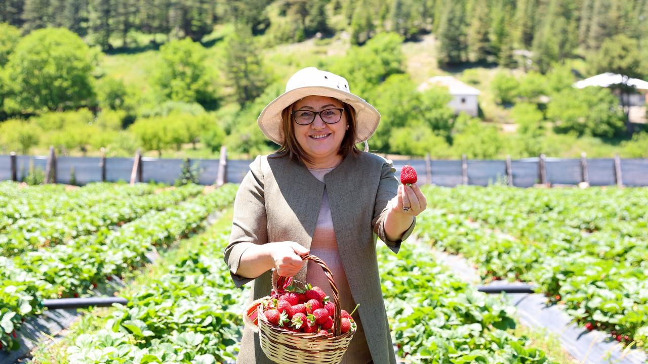 Gaziantep Büyükşehir'den Huzur Yaylası için eylem planı