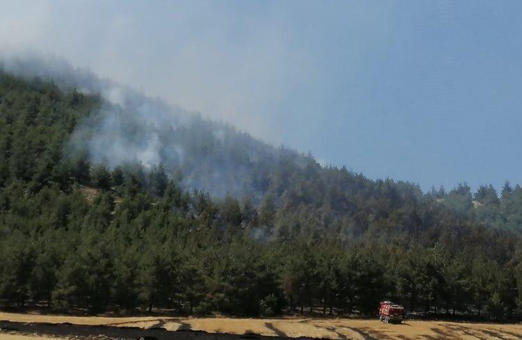 Gaziantep Büyükşehir'den Nurdağı'nda çıkan orman yangınına müdahale